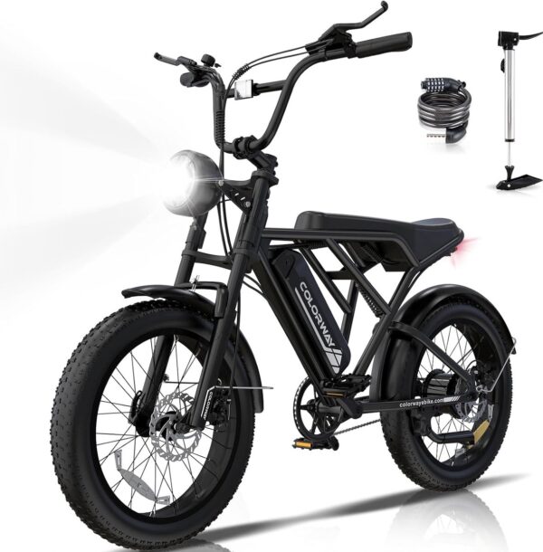 Colorway Elektrische Fiets BK29G - 20*4.0 Inch Fatbike - Mountain Snow EBike met Afneembare 36V 12Ah Lithium Batterij - City Commuter E-Bike met 250W Motor - IP54 Waterdicht