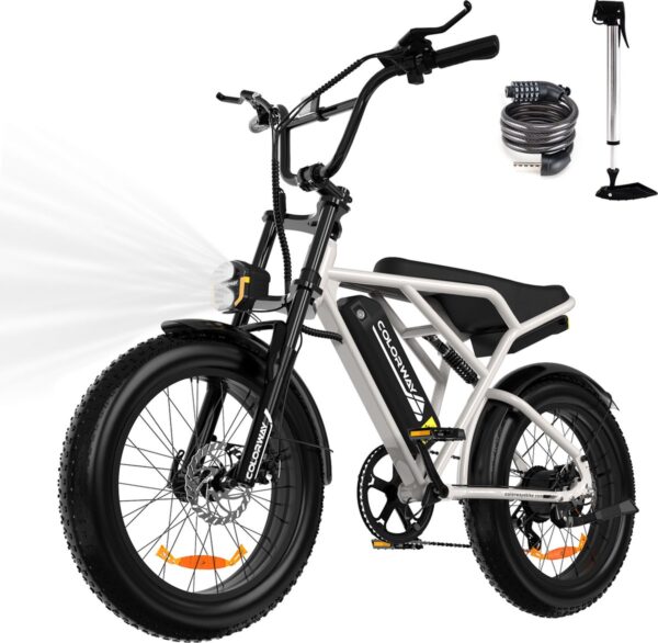 Colorway Elektrische Fiets BK29G - 20*4.0 Inch Fatbike - Mountain Snow EBike met Afneembare 36V 12Ah Lithium Batterij - City Commuter E-Bike - IP54 Waterdicht